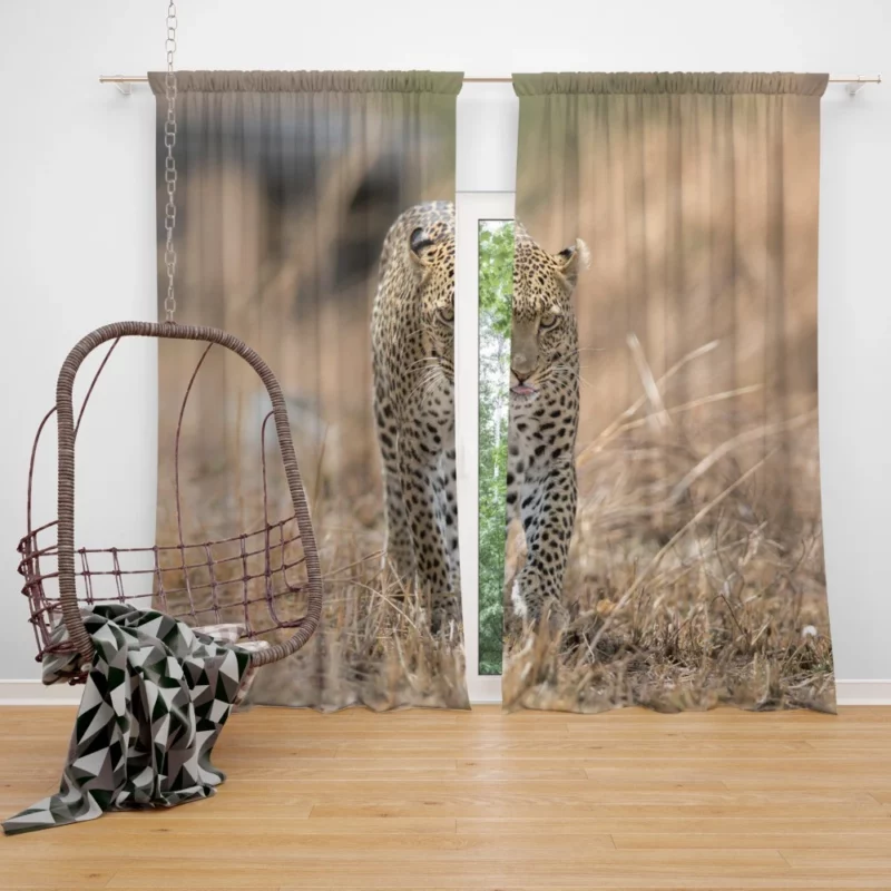 Leopard Wild Elegance Feline Grace Curtain