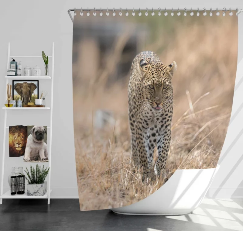 Leopard Wild Elegance Feline Grace Shower Curtain