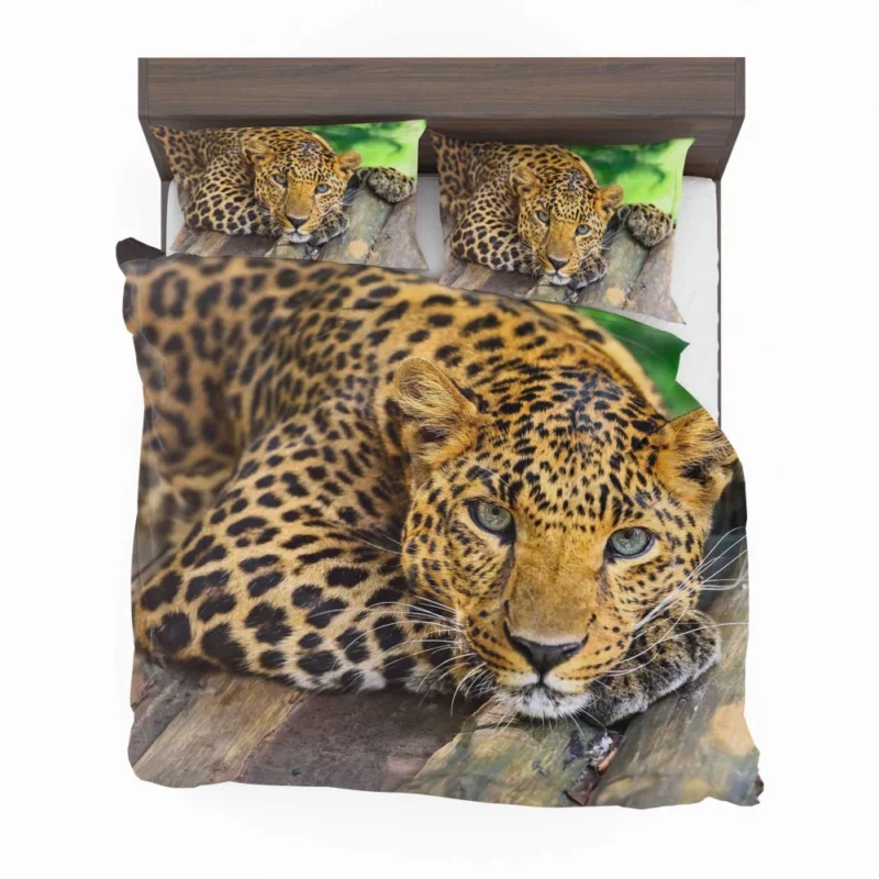 Leopard Wilderness Elegance Bedding Set 1