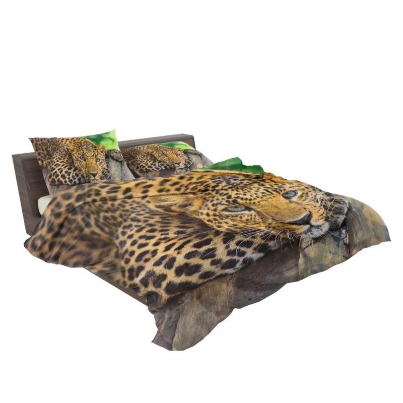 Leopard Wilderness Elegance Bedding Set 2