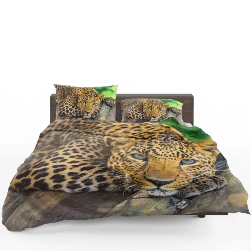 Leopard Wilderness Elegance Bedding Set