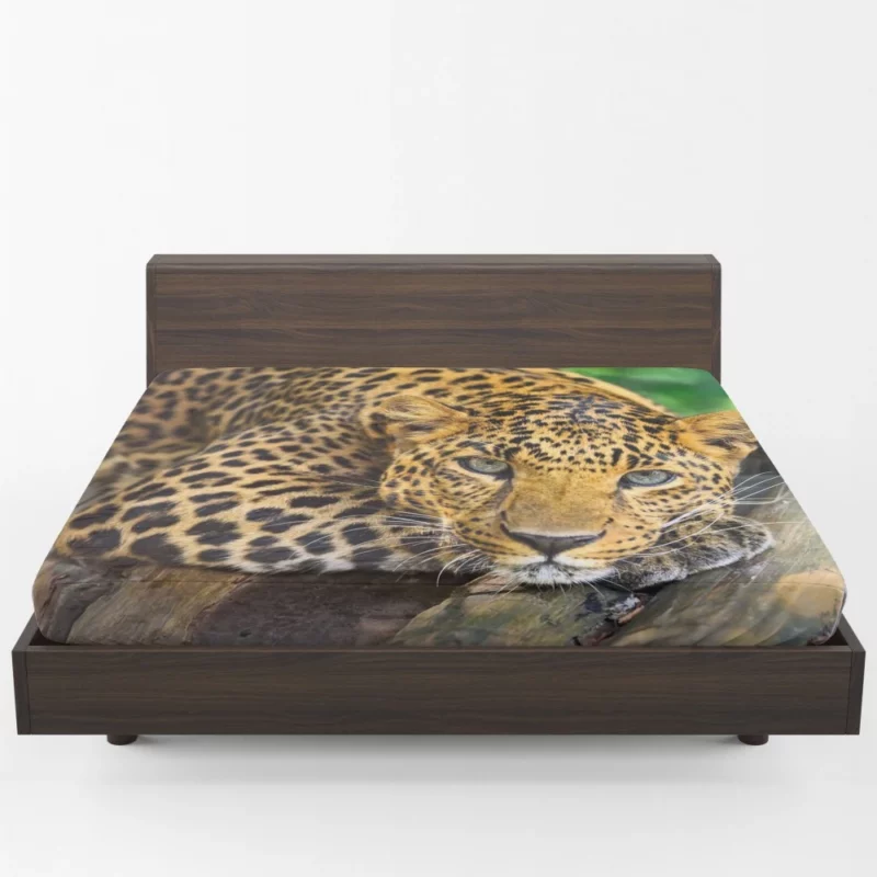 Leopard Wilderness Elegance Fitted Sheet