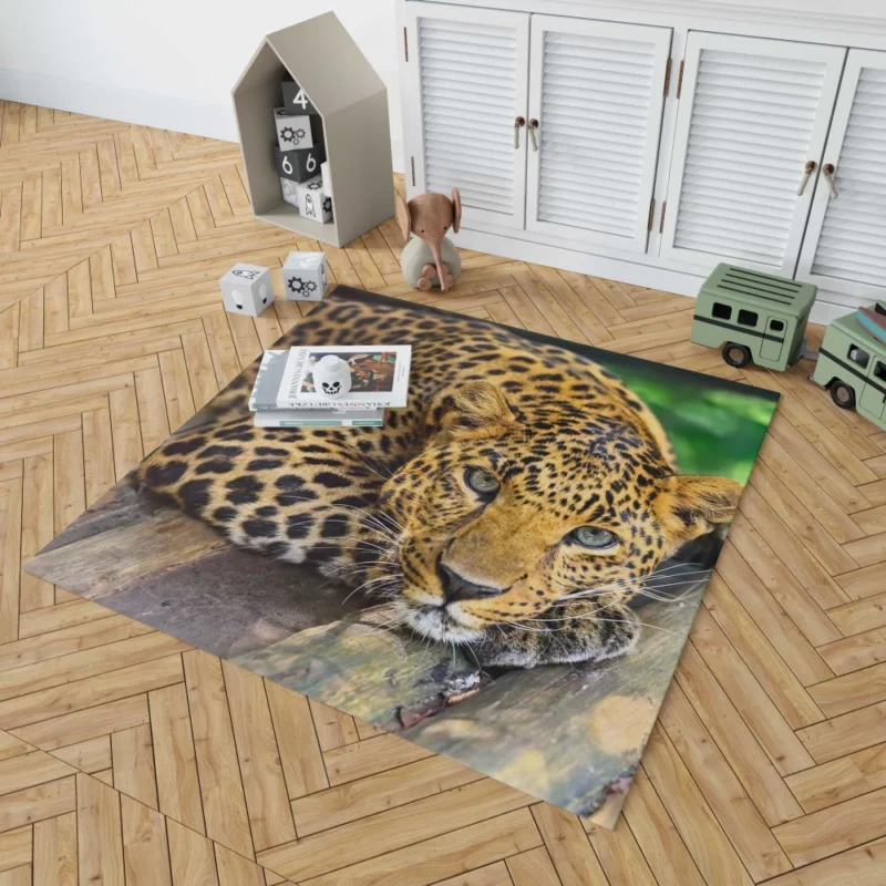 Leopard Wilderness Elegance Rug 1