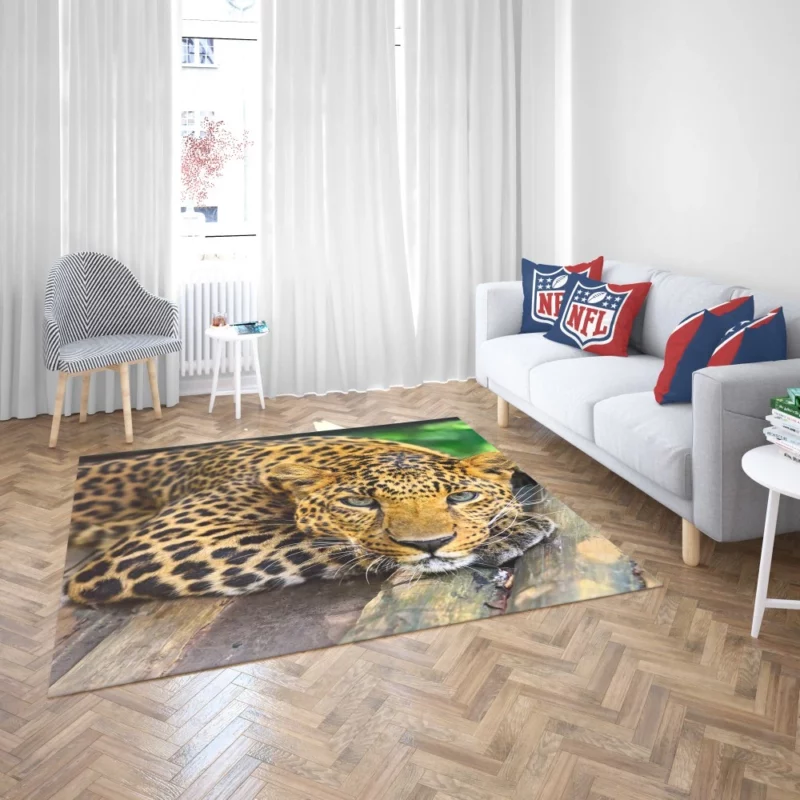 Leopard Wilderness Elegance Rug 2