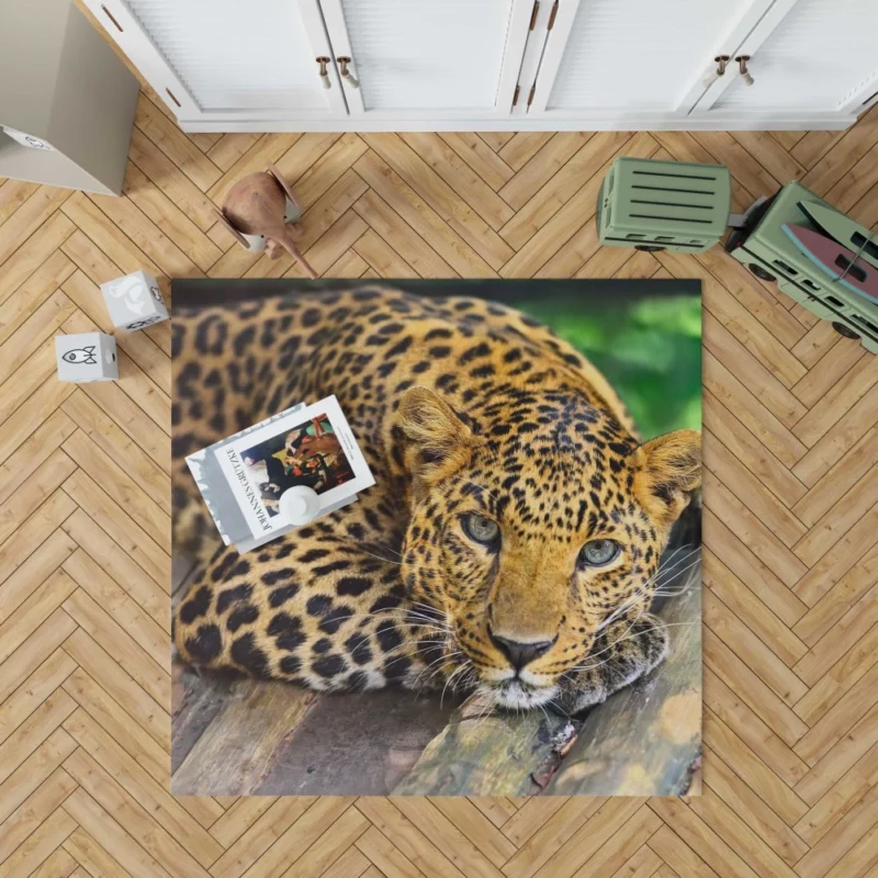 Leopard Wilderness Elegance Rug