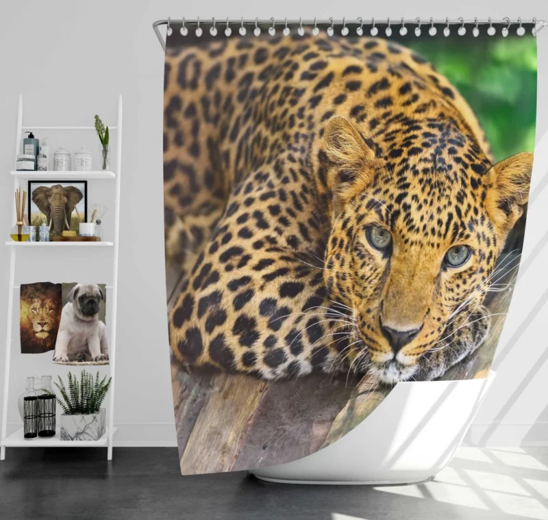 Leopard Wilderness Elegance Shower Curtain