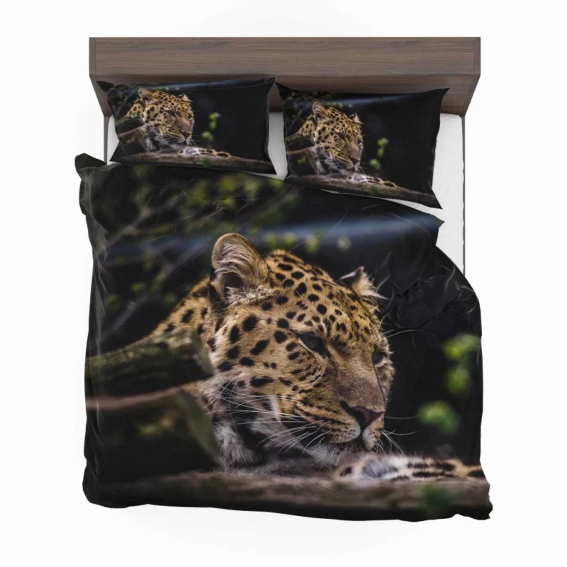 Leopard in Zoo Wild Majesty Bedding Set 1