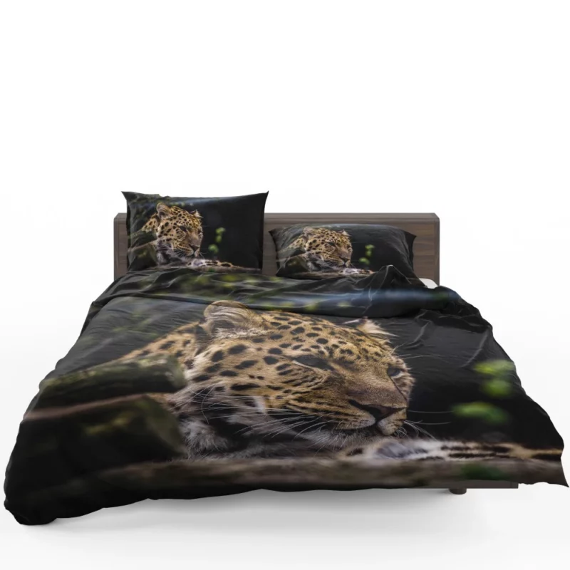 Leopard in Zoo Wild Majesty Bedding Set