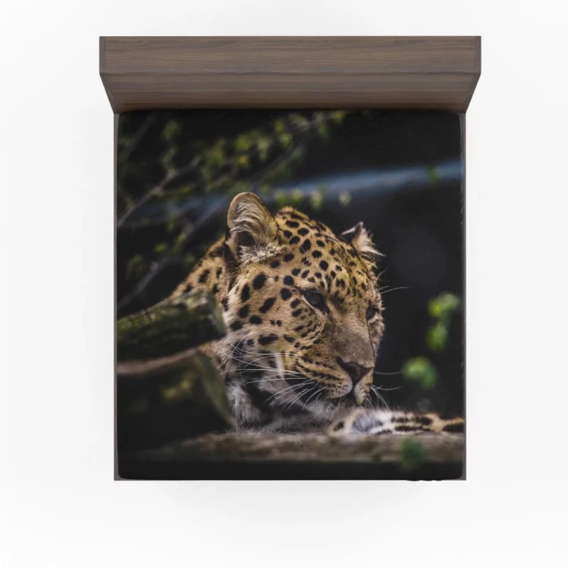 Leopard in Zoo Wild Majesty Fitted Sheet 1