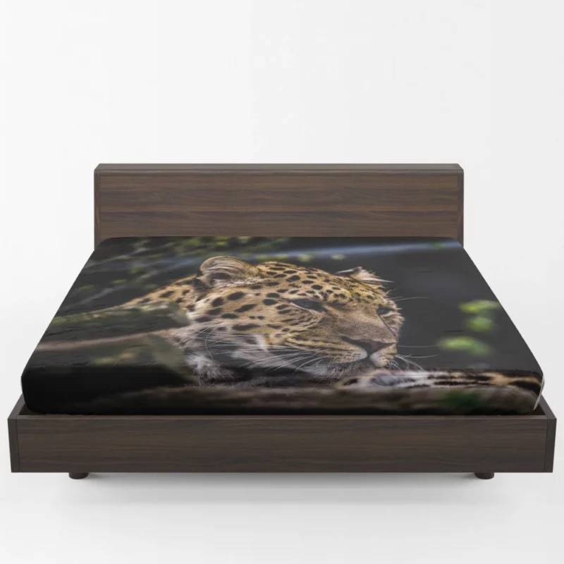 Leopard in Zoo Wild Majesty Fitted Sheet