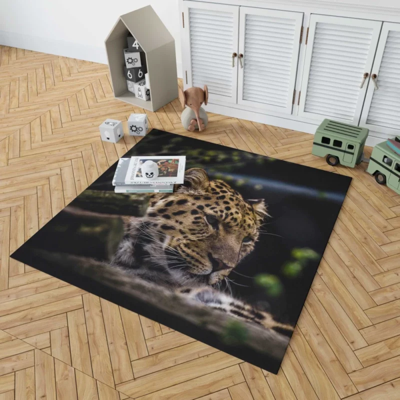 Leopard in Zoo Wild Majesty Rug 1