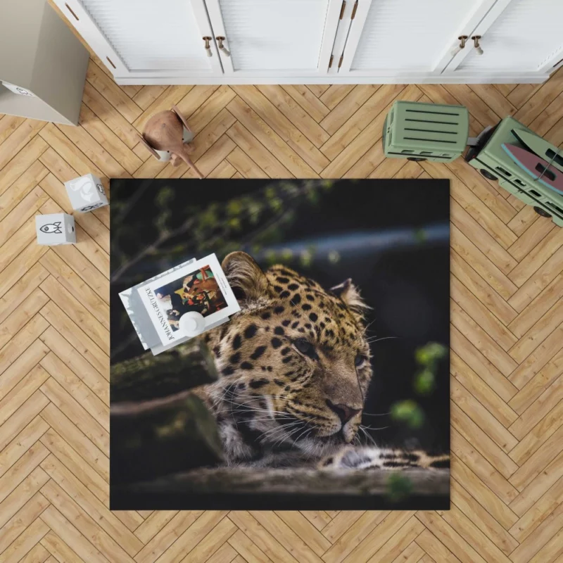 Leopard in Zoo Wild Majesty Rug