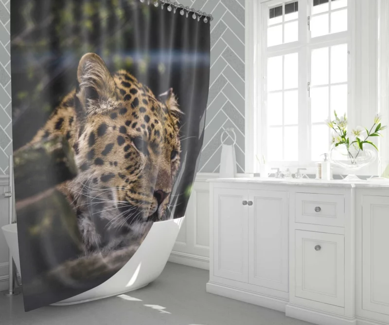 Leopard in Zoo Wild Majesty Shower Curtain 1