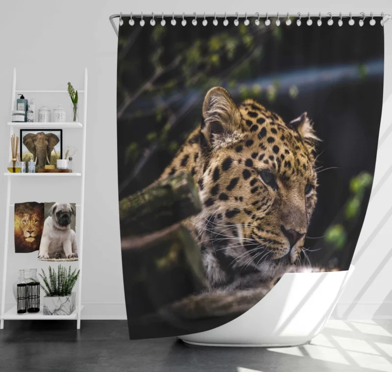 Leopard in Zoo Wild Majesty Shower Curtain