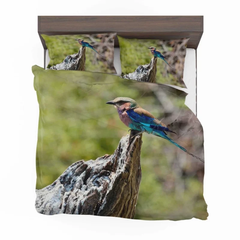 Lilac-Breasted Roller Tropical Charm Vibrant Bird Bedding Set 1