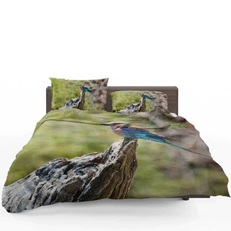 Lilac-Breasted Roller Tropical Charm Vibrant Bird Bedding Set