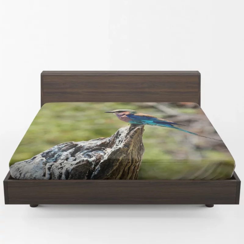 Lilac-Breasted Roller Tropical Charm Vibrant Bird Fitted Sheet