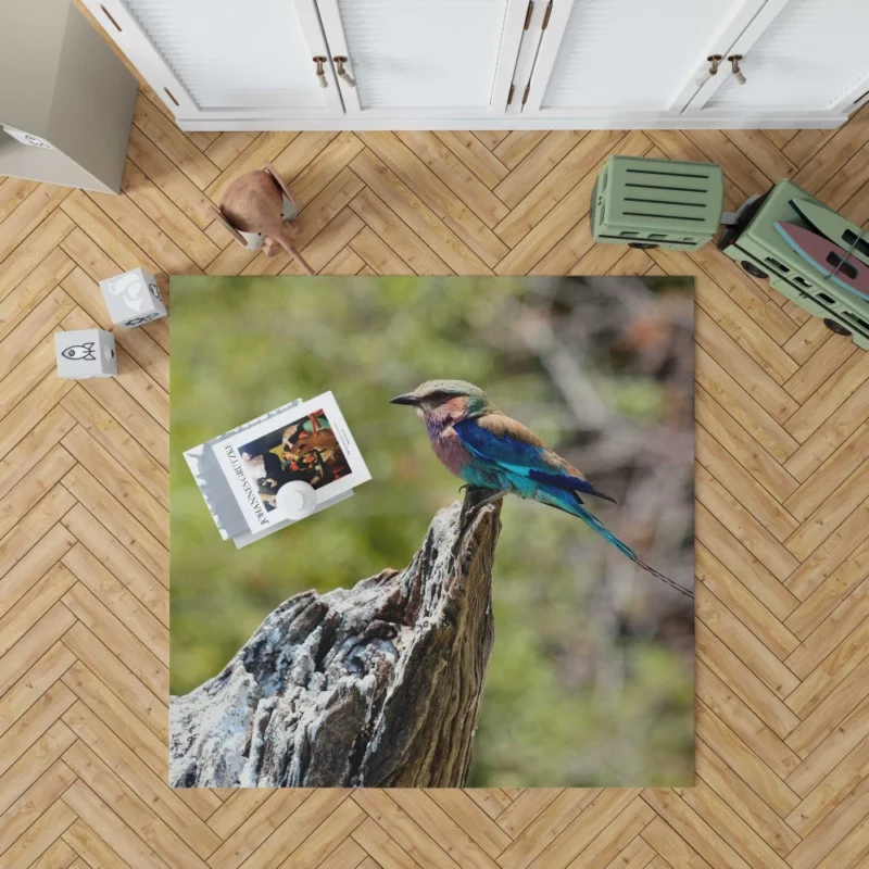 Lilac-Breasted Roller Tropical Charm Vibrant Bird Rug