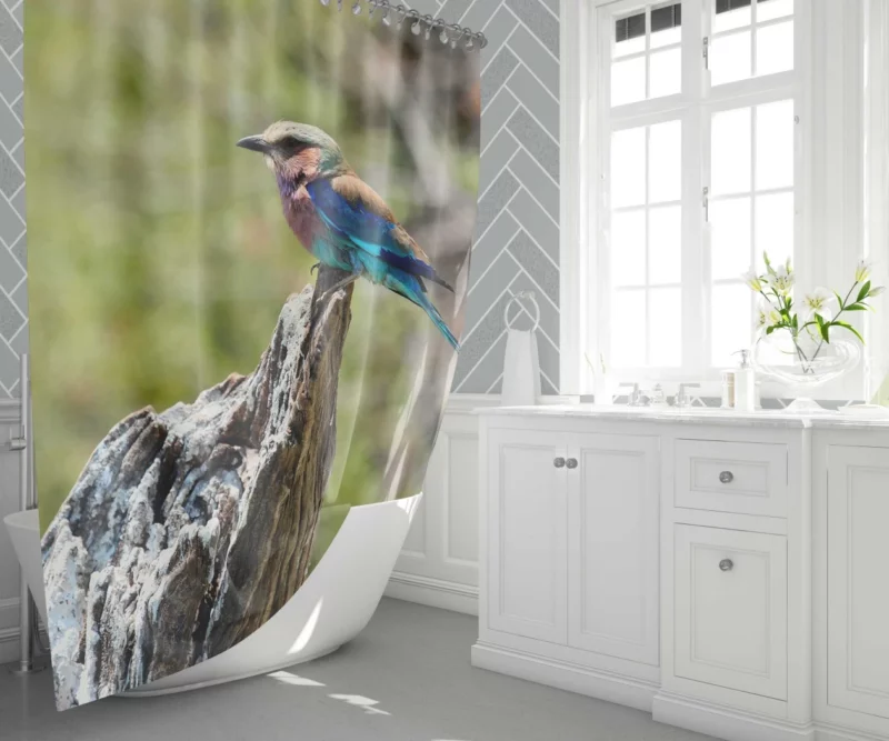 Lilac-Breasted Roller Tropical Charm Vibrant Bird Shower Curtain 1