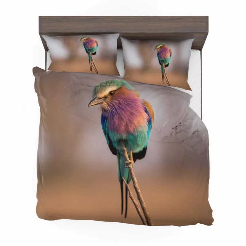 Lilac-Breasted Roller Vibrant Plume Exotic Beauty Bedding Set 1