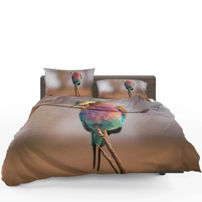 Lilac-Breasted Roller Vibrant Plume Exotic Beauty Bedding Set