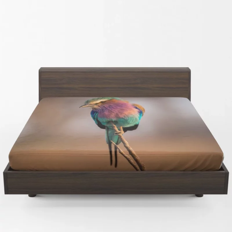 Lilac-Breasted Roller Vibrant Plume Exotic Beauty Fitted Sheet