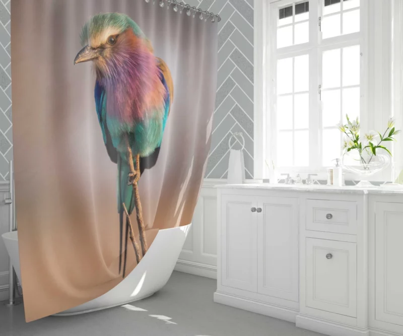 Lilac-Breasted Roller Vibrant Plume Exotic Beauty Shower Curtain 1