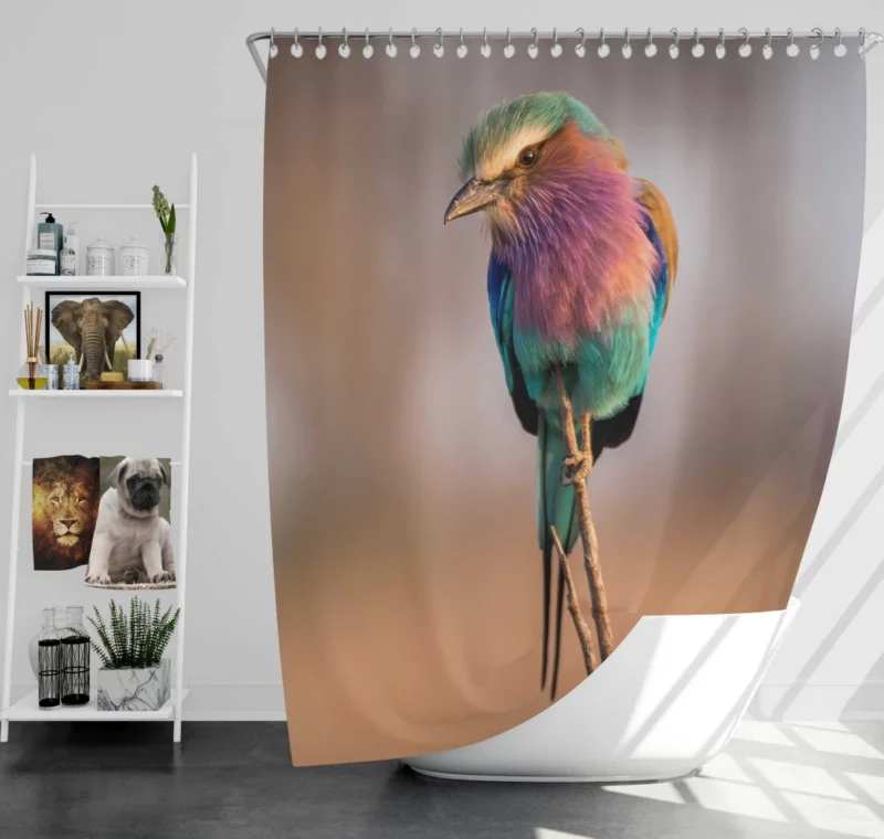 Lilac-Breasted Roller Vibrant Plume Exotic Beauty Shower Curtain