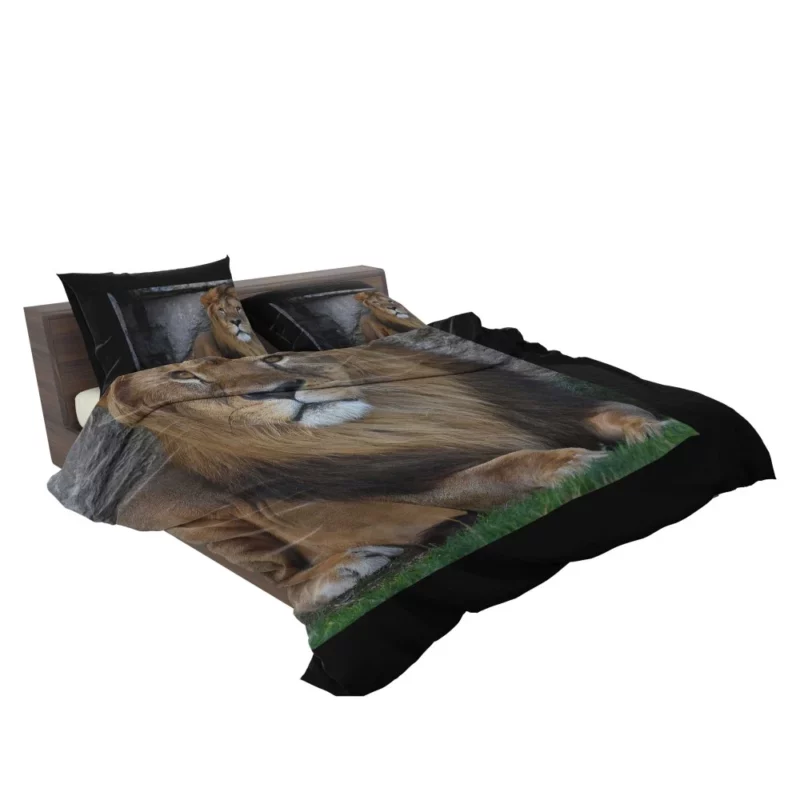 Lion Adaptable Bedding Set 2