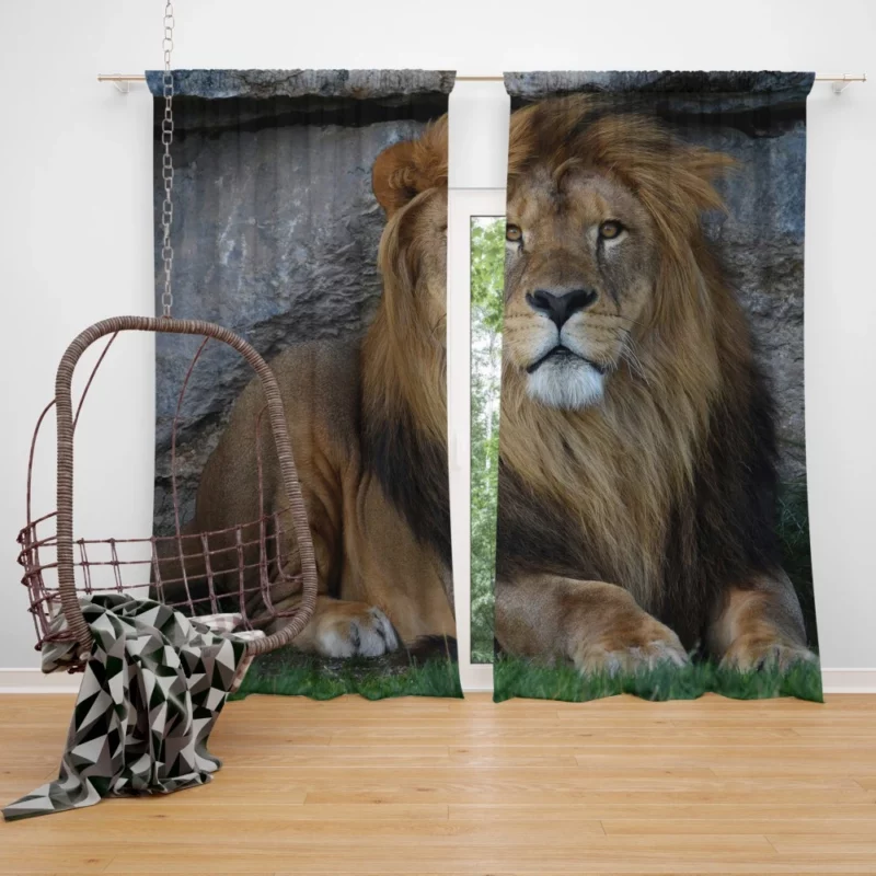 Lion Adaptable Curtain