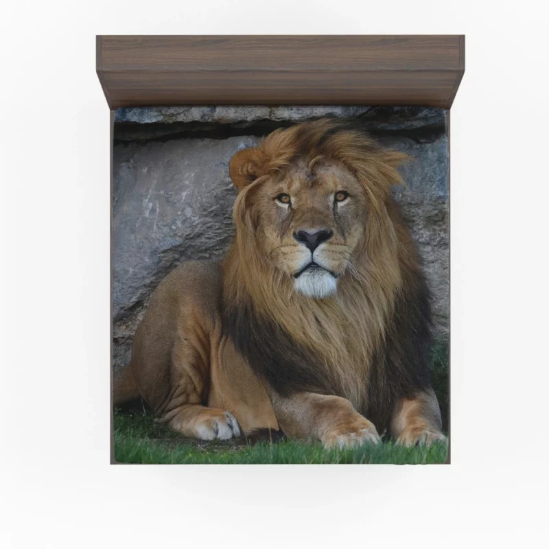 Lion Adaptable Fitted Sheet 1