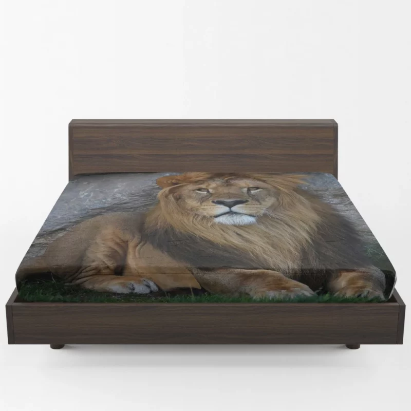 Lion Adaptable Fitted Sheet