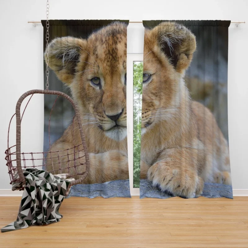 Lion Camouflaged Curtain