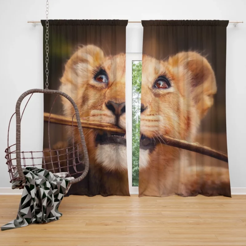 Lion Cub Curious Innocence Curtain