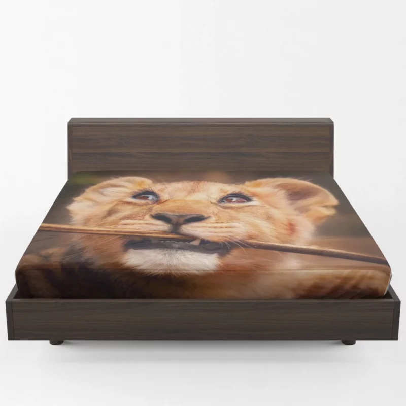 Lion Cub Curious Innocence Fitted Sheet