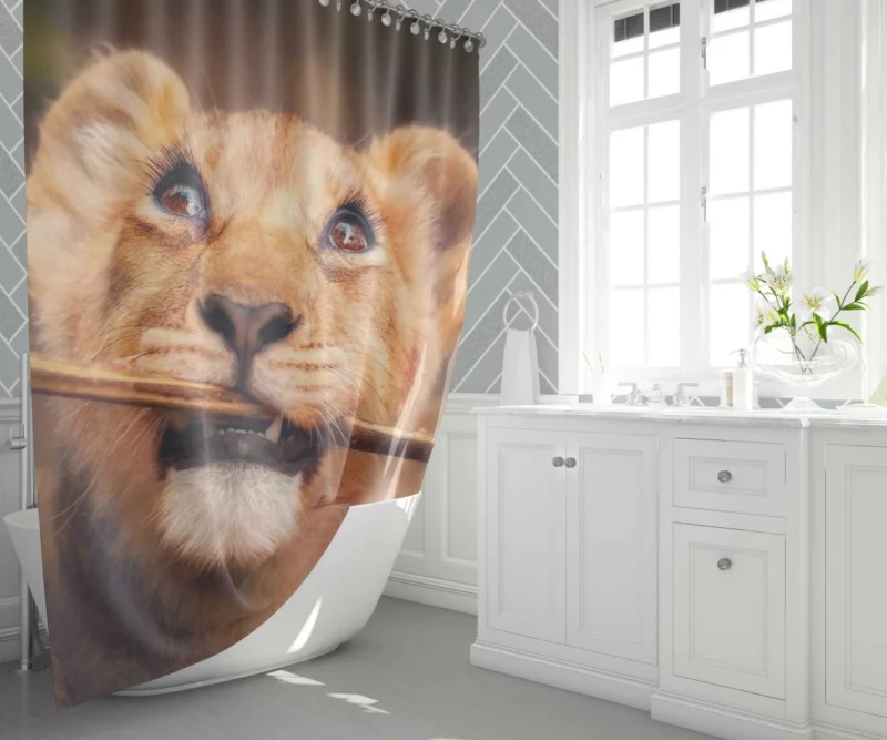 Lion Cub Curious Innocence Shower Curtain 1