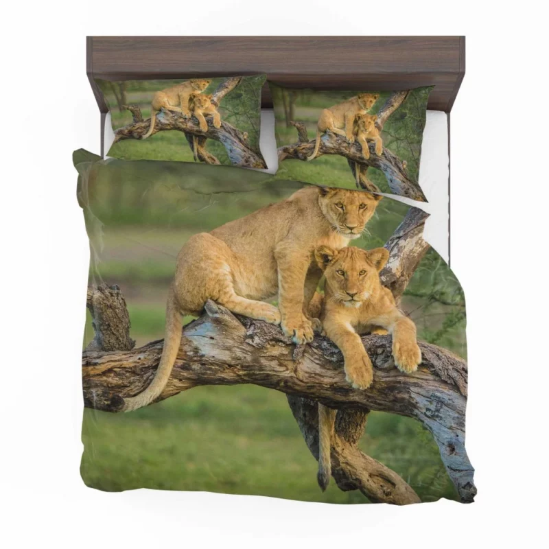 Lion Cub Depth of Field Charm Bedding Set 1