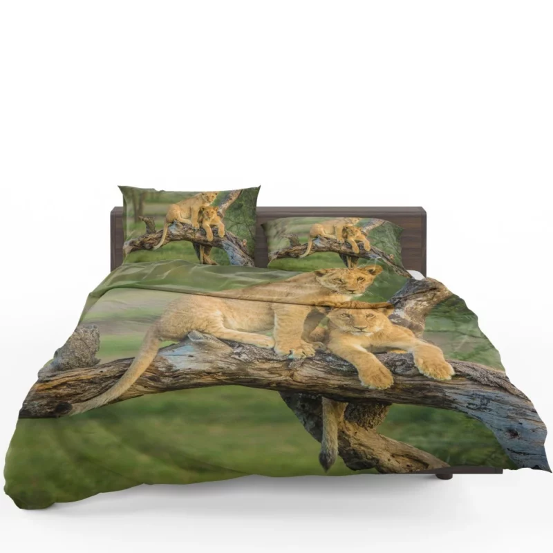 Lion Cub Depth of Field Charm Bedding Set