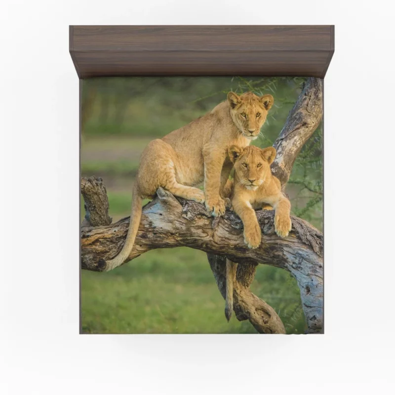 Lion Cub Depth of Field Charm Fitted Sheet 1