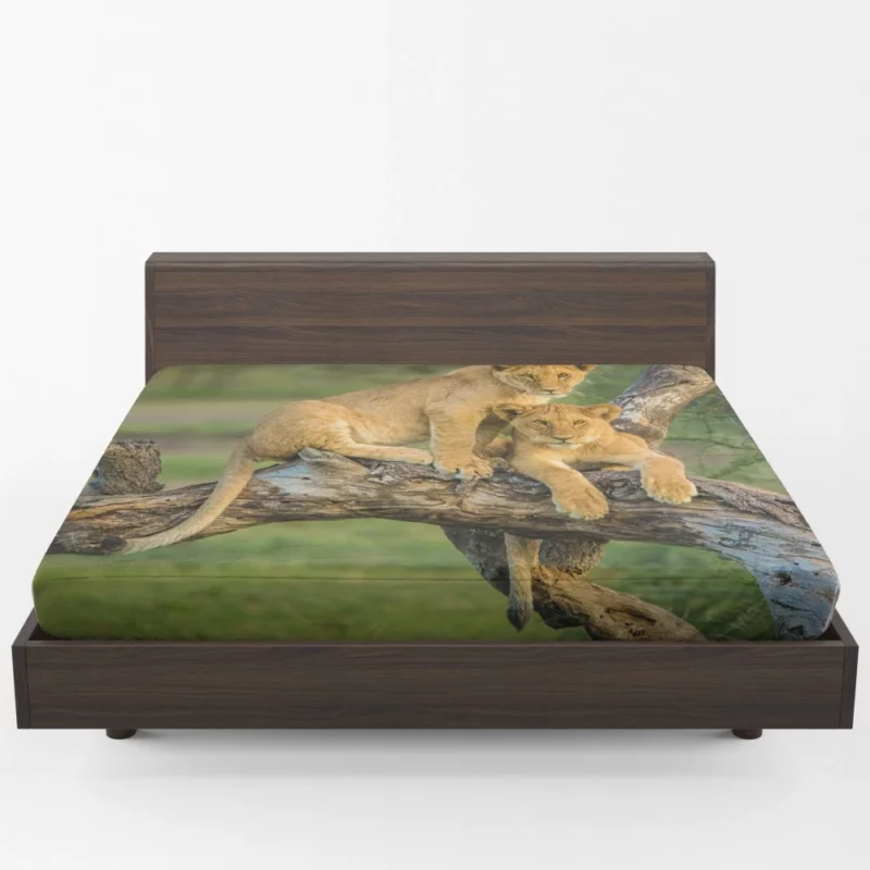 Lion Cub Depth of Field Charm Fitted Sheet