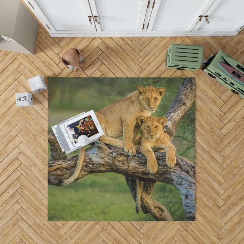 Lion Cub Depth of Field Charm Rug