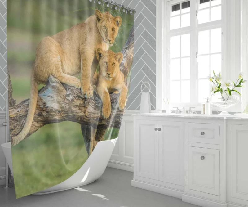 Lion Cub Depth of Field Charm Shower Curtain 1