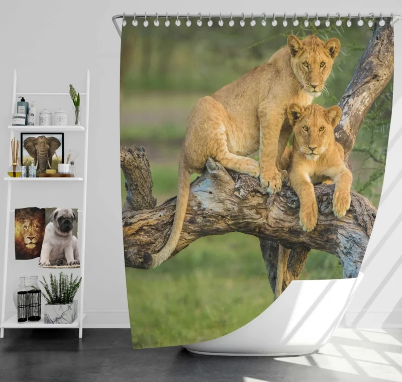 Lion Cub Depth of Field Charm Shower Curtain