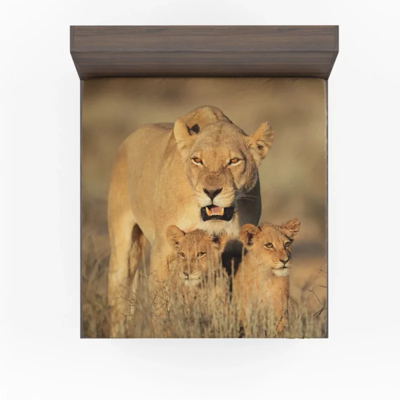 Lion Cub Depth of Field Wonder Fitted Sheet 1