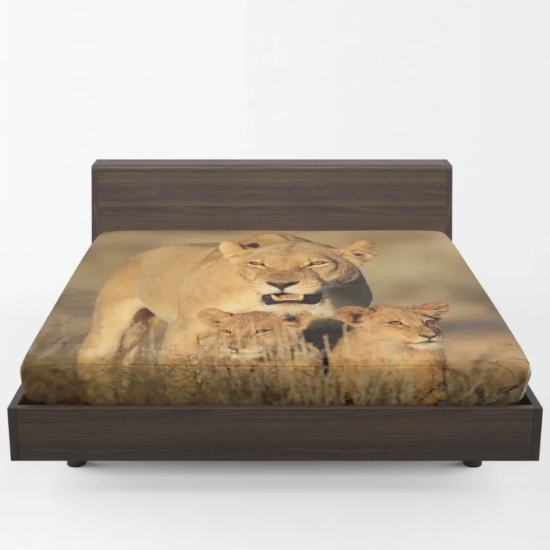 Lion Cub Depth of Field Wonder Fitted Sheet