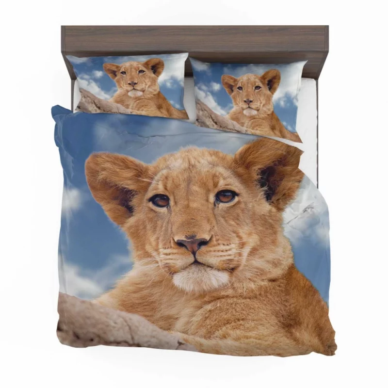 Lion Cub Enigmatic Stare Baby Majesty Bedding Set 1