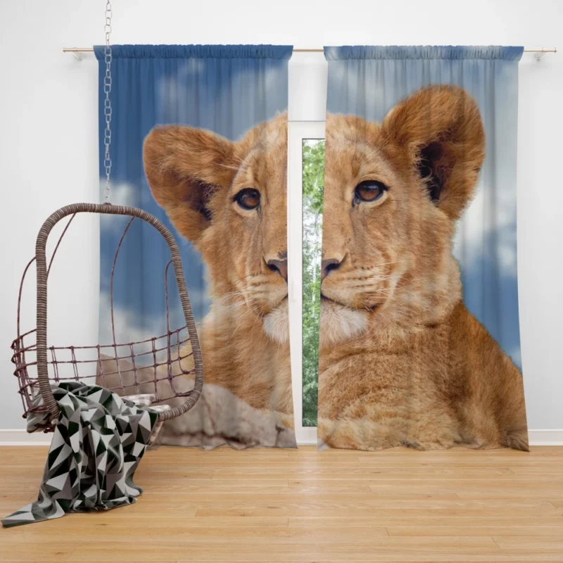 Lion Cub Enigmatic Stare Baby Majesty Curtain