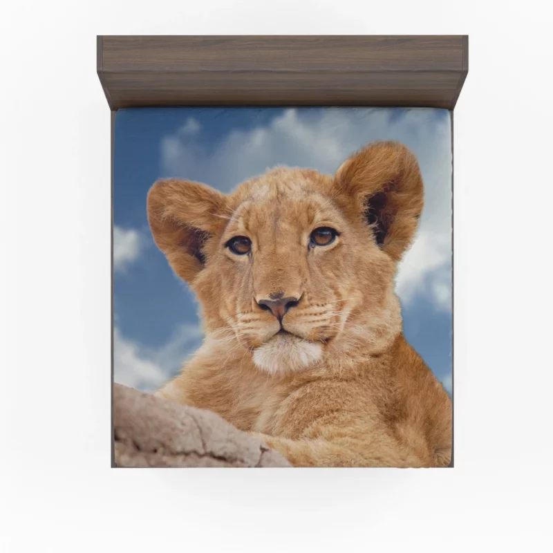 Lion Cub Enigmatic Stare Baby Majesty Fitted Sheet 1