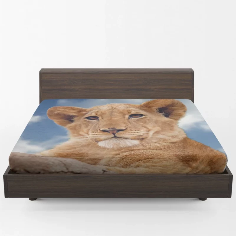 Lion Cub Enigmatic Stare Baby Majesty Fitted Sheet