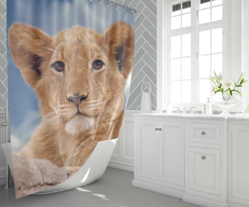 Lion Cub Enigmatic Stare Baby Majesty Shower Curtain 1